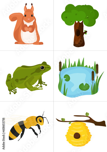 Fototapeta Naklejka Na Ścianę i Meble -  set of cards for children's game guess where is whose house, squirrel, hollow, frog, swamp, bee, beehive, insects, amphibians, animals, vector illustration