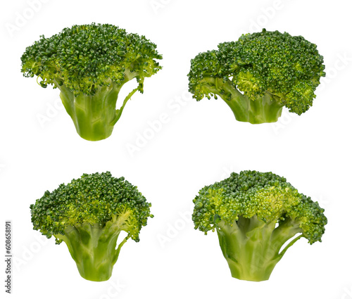 Set of broccoli isolated. Fresh vegetable element
