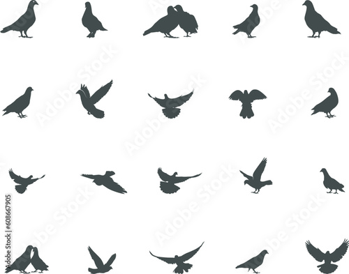 Pigeon silhouette, Pigeon SVG, Pigeon vector illustration, Pigeon bird silhouette.