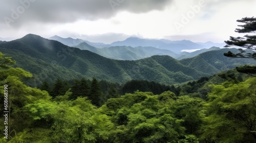 View to Japan Mountains