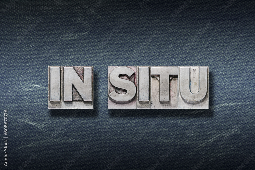 Obraz premium in situ Latin den