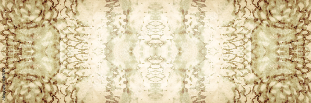 Fototapeta premium Beige Pattern. Pale Splatter Snake Pattern. Pale