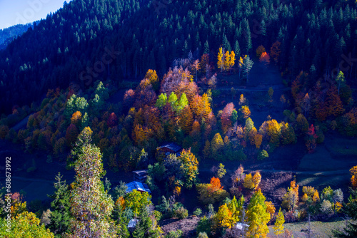 Autumn view in Savsat. Artvin  Turkey. Beautiful autumn landscape in Bazgiret Maden Village. Colorful fall nature view with snowy mountains background.