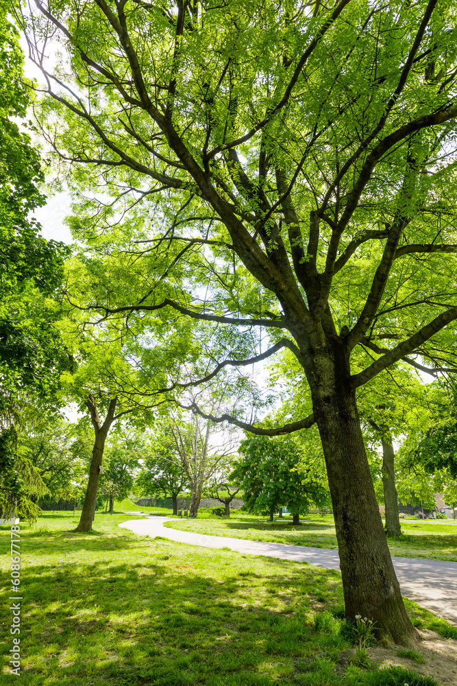 Beautiful Kalemegdan park in Belgrade