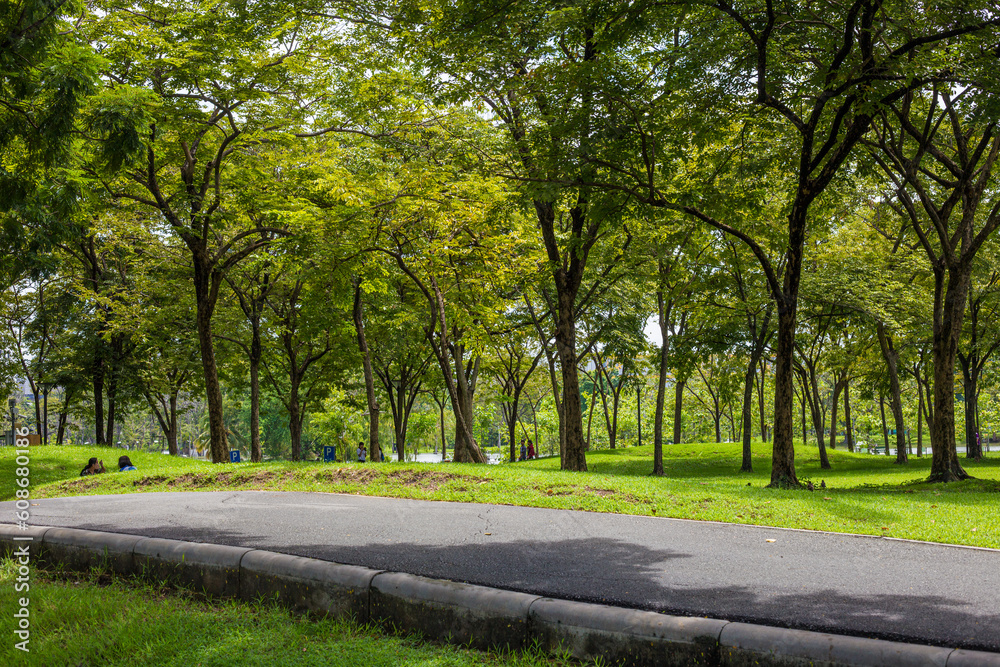 Pathway road in green city park tree forest Pathway road in green city park tree forest
