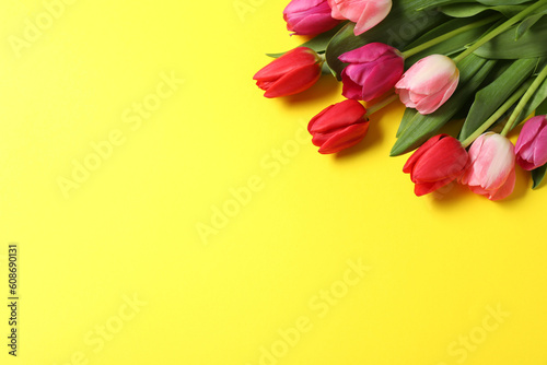 Beautiful colorful tulip flowers on yellow background. Space for text