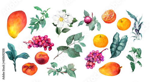 Set with juicy tropical fruits, flowers, green leaves. Exotic mango, fresh peach, bright grape, ripe orange fruit, garden plants. Watercolor vegetarian collection, summer bundle