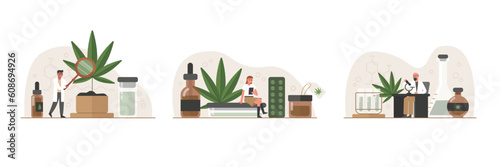 Legalization of marijuana. Medical drug use. Allowed medicinal growth with drug addiction. Vector characters grow cannabis and make pain killer pills from it