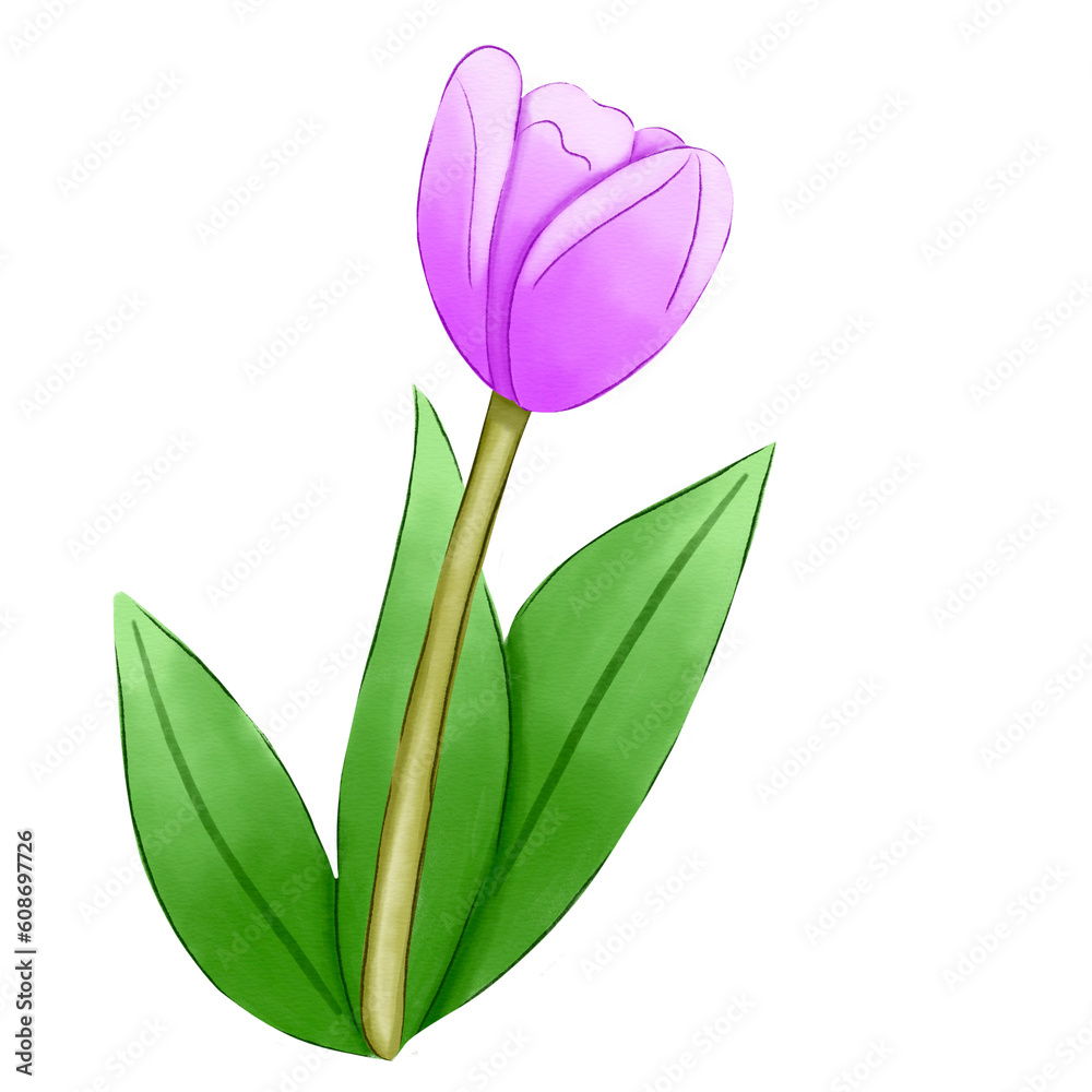 Single purple tulip flower branch watercolor Single purple tulip flower branch watercolor
