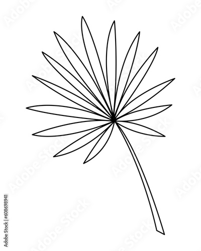 Palm leaf in doodle style2. Black and white vector illustration.