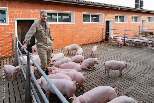 Landwirt hat seinen Schweinestall auf Haltungsstufe 4 umgebaut und steht in einer Aussen - Bucht mit seinen Schweinen. photo