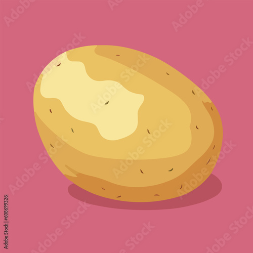 Vector illustration of fresh and juicy potato