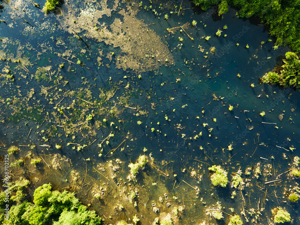 Aerial view top down Drone view over swamp or lake in sunrise or sunset time, Amazing nature view in the morning at Klong root lake Krabi Thailand Aerial view top down Drone view over swamp or lake in sunrise or sunset time, Amazing nature view in the morning at Klong root lake Krabi Thailand