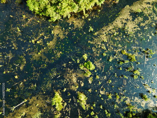 Aerial view top down Drone view over swamp or lake in sunrise or sunset time  Amazing nature view in the morning at Klong root lake Krabi Thailand