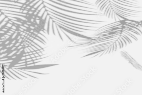 Abstract blurred soft light shadow palm leaves reflection on white wall studio background. Tropic summer black and white concept product presentation. with copy space for baner 3d render illustration.