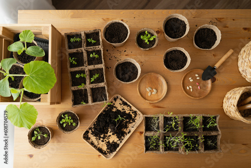 Set of bowls with loamy soil and various plants on table