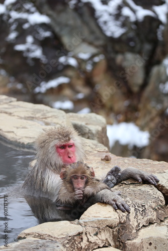 Canvas Print Snow monkey mother and child taking the hot spring, in Nagano, Japan