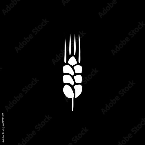 Wheat plant spikelets. Hand drawn sketch icon isolated on black background
