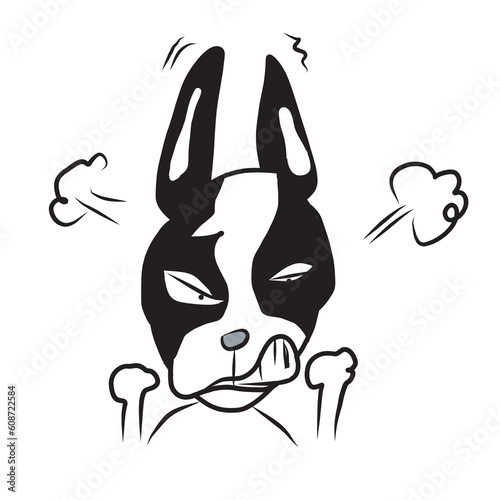 D34 French Bulldog black and white colour dod cartoon cheeky cute naughty funny puppy angry photo