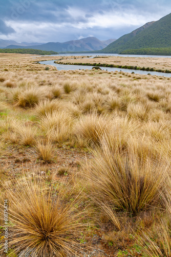 Mavora Lakes  protected area South Island New Zealand photo
