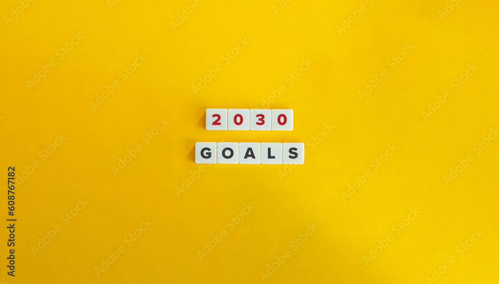 Goals for Year 2030. Banner and Concept Image.
