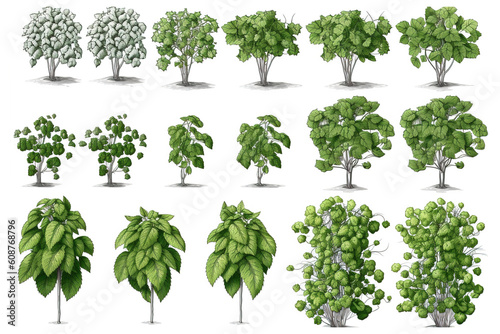 drawing of trees isolated on white background. Generated by AI.