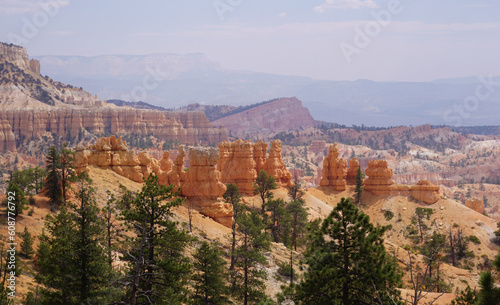 Bryce Canyon Natiional Park Utah USA orange rock formations cliff and pine trees