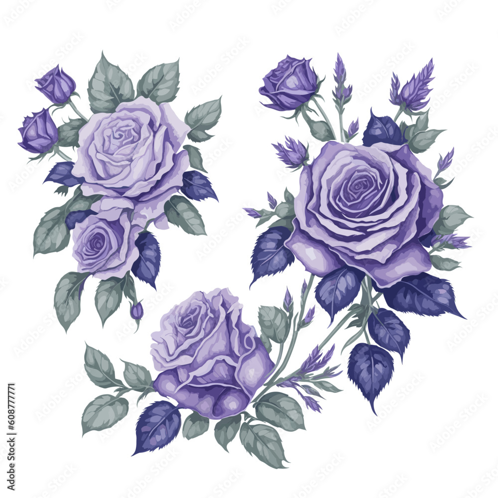 Set of Purple Lavender Rose Flower Arrangement Watercolor Illustration