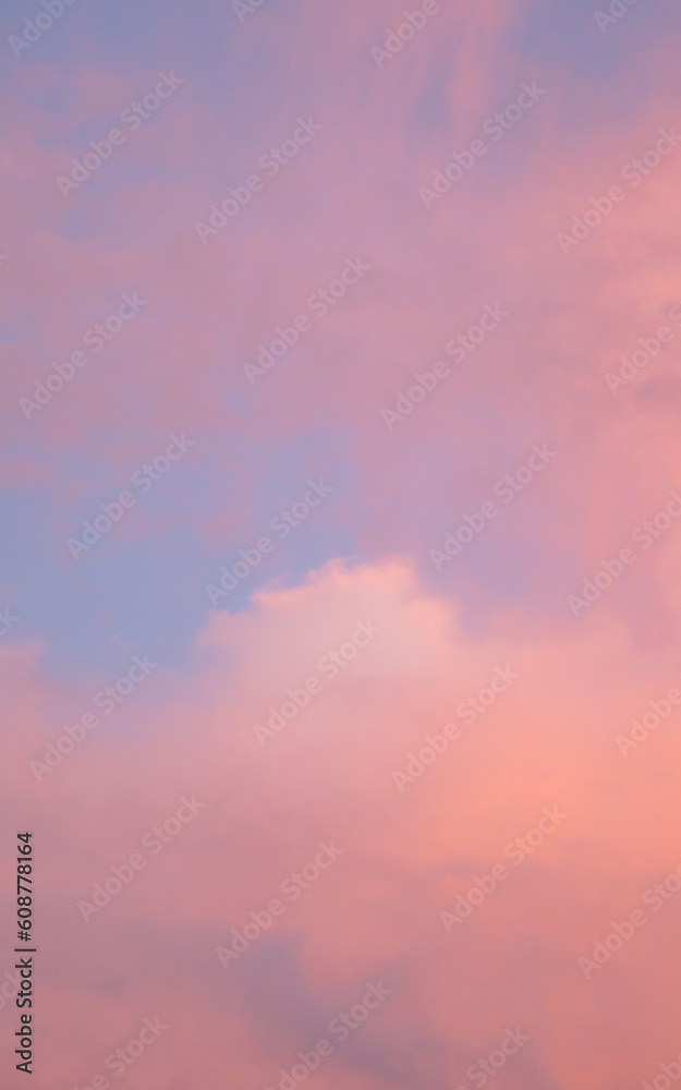 Dreamy pink sky
