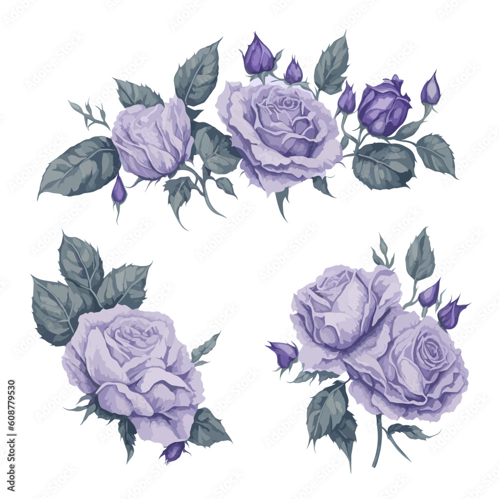 Exquisite Purple Rose Watercolor Floral Collection