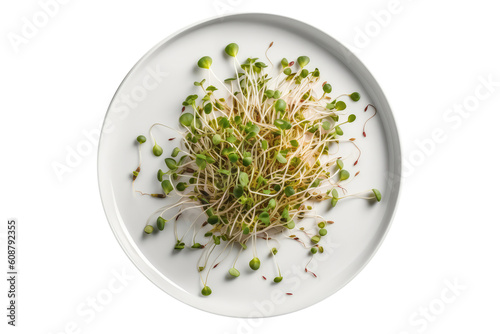 Raw Sprouts On White Plate, Isolated On Transparent Background, Png. Generative AI