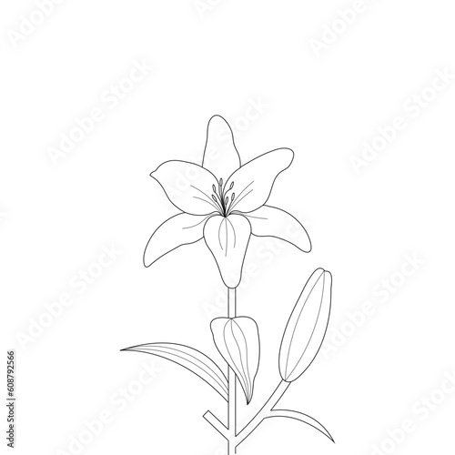 Fototapeta Naklejka Na Ścianę i Meble -  Lily Flower Coloring Page For Kindergarten