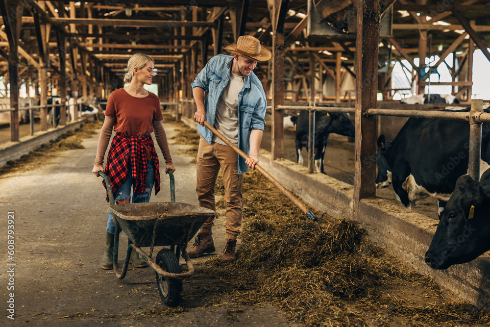 A man and a woman working together in a barn. A man and a woman working together in a barn.