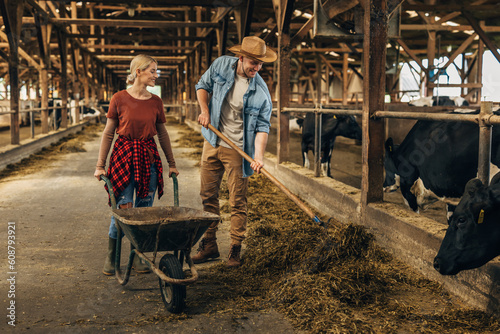 A man and a woman working together in a barn.