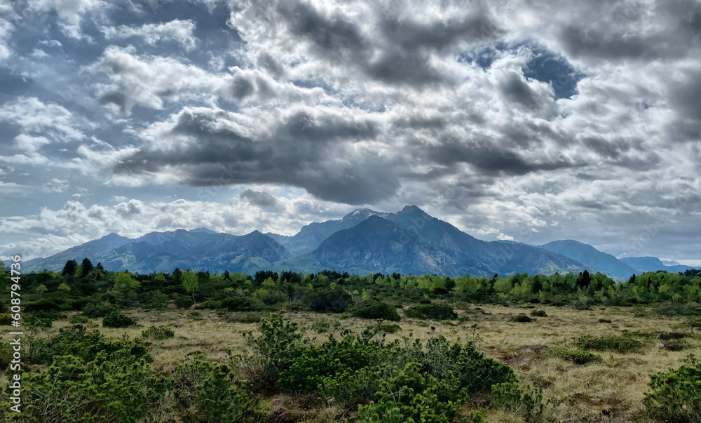 Blick über das Hochmoor Naturschutzgebiet Kendlmühlfilzen bei Grassau in die Chiemgauer Alpen, Chiemgau, Bayern, Deutschland Blick über das Hochmoor Naturschutzgebiet Kendlmühlfilzen bei Grassau in die Chiemgauer Alpen, Chiemgau, Bayern, Deutschland