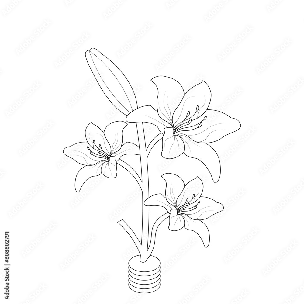 Lily Flower Coloring page Hand Drawn illustration With Line Art Stock ...