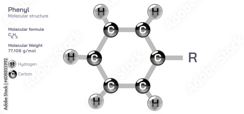 Phenyl molecular structure formula. Periodic table structural molecular formula Vector design. Pharmaceutical compounds and composition. Easily printable product with correct CPK colour.
