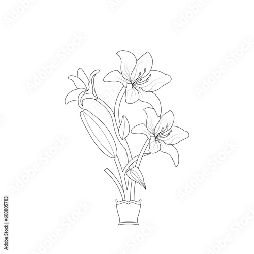 Lily Flower Coloring page Hand Drawn illustration With Line Art