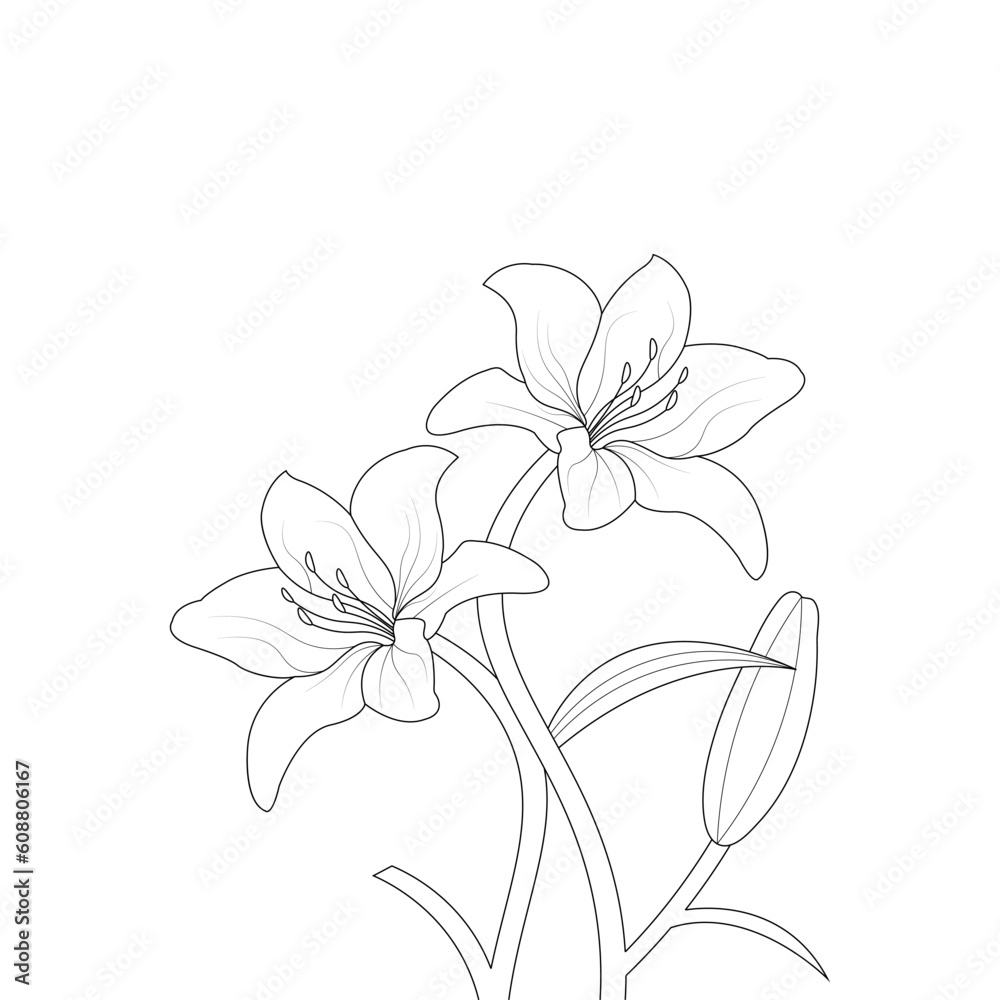 Lily Flower Coloring page Hand Drawn illustration With Line Art Lily Flower Coloring page Hand Drawn illustration With Line Art