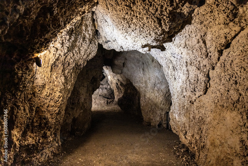 Fototapeta Naklejka Na Ścianę i Meble -  Limestone Bat Cave Jaskinia Nietoperzowa known for multiple species of nesting bats in Jerzmanowice village in Bedkowska Valley near Cracow in Lesser Poland