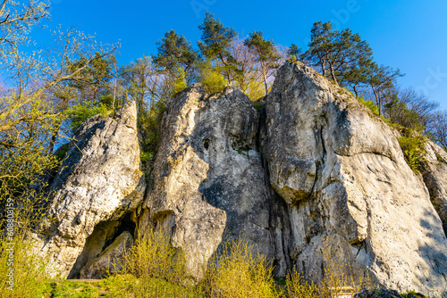 Labajowa and Lipna Sciana limestone rock and climbing wall in Bedkowska Valley within Jura Krakowsko-Czestochowska upland near Cracow in Lesser Poland photo