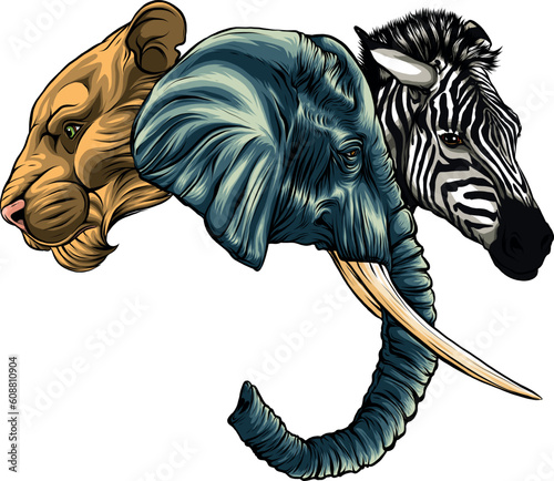vector illustration of animal head of africa