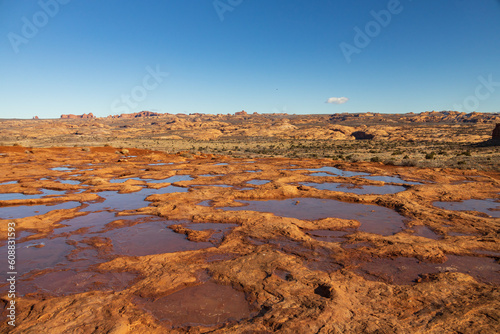 Puddles with reflections at Arches National Park  Utah  USA