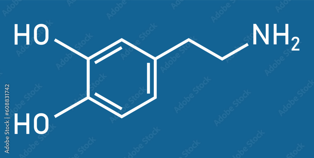 Chemical structure of Dopamine (C8H11NO2). Chemical resources for teachers and students. Vector illustration isolated on white background.