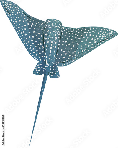 Photography Ocean Life Spotted  Stingray Illustration 1