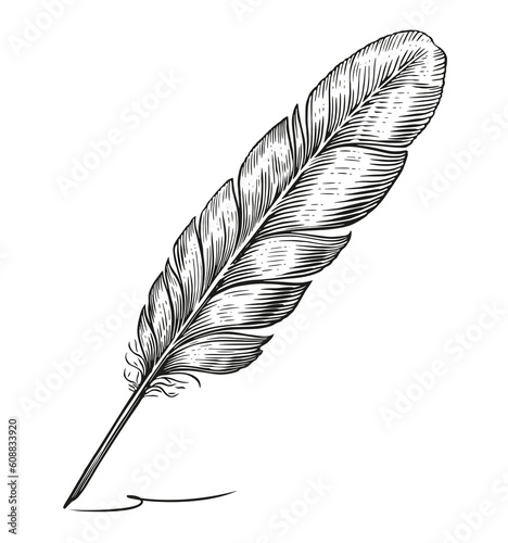 Hand Holds a Feather Quill Pen Drawn in Engraving Style