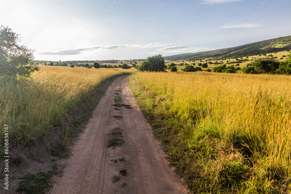 Track in Masai Mara National Reserve, Kenya