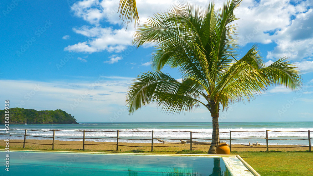 A dreamy scene with an infinity pool and palm tree next to beautiful ocean beach