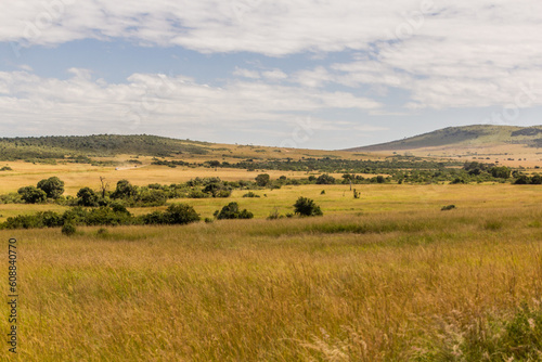 Landscape of Masai Mara National Reserve, Kenya © Matyas Rehak