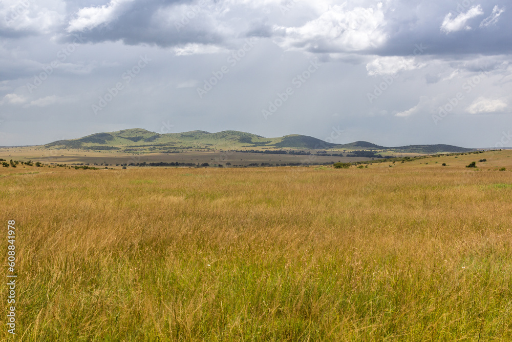 Landscape of Masai Mara National Reserve, Kenya